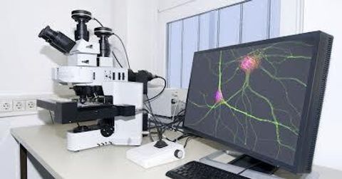 Imaging Microscopy and Measuring Instruments: A General Overview