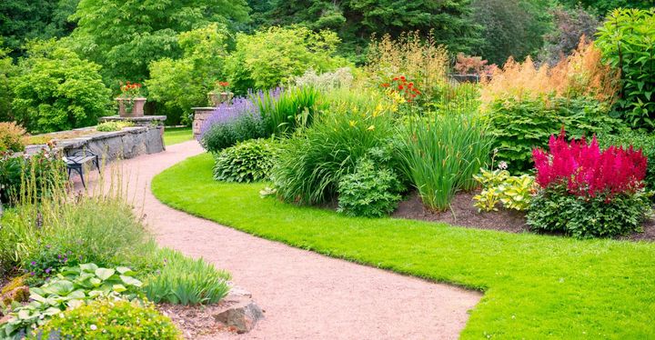 Easy online garden design: a guide