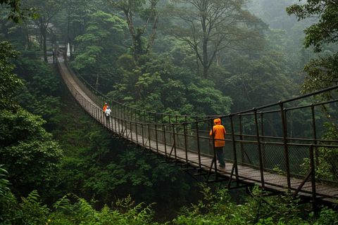 Monsoon Travel Guide: Tips and Destinations for a Magical Rainy Adventure